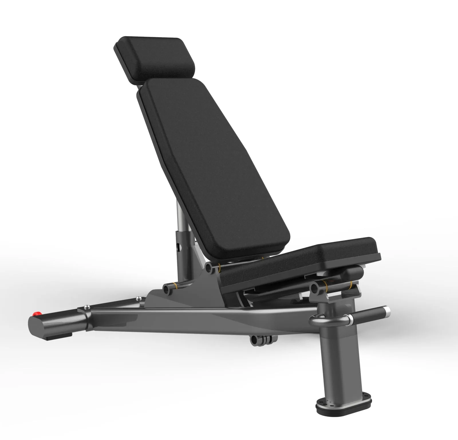 Banco Regulable Especial Tubo Oval Linea FW 1013A