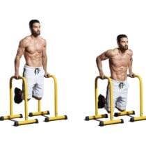 Barras Paralelas para Calistenia